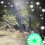 Bernadette Royer - Facebook