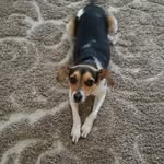 Bernadette Ruffo Panitz - @bernadetteruffopanitz - Instagram