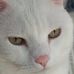 Bernadette Schell - Facebook