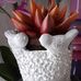 Bernadette Valentin - Facebook