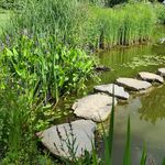 Bernadette Wall - @wallbernadette1962 - Instagram