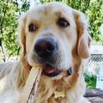 Wally Bernadette Zampieri - @wallybernadette - Instagram