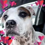 Bernadette Waters - @fraggle2508 - Instagram