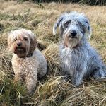 Bernadette Waters - @waters_bernie - Instagram
