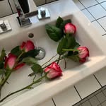 Bernadette Watson - @bernadettewatson3338626 - Instagram