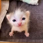 Bernadette Watson - @bernie.1son - Instagram