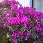 Bernarda San Martin Bayard - @bernardabayard - Instagram