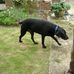 Bernard Abbott - Facebook