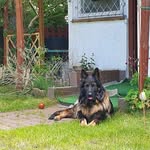 Bernard Abramowicz - @bernardabramowicz - Instagram