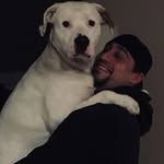 Adam Bernard - @bernardadam29 - Instagram