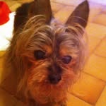 Bernard Adam - @marlin9743 - Instagram