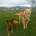 bernardalba - @andakakun - Instagram