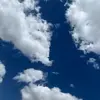 BKF - @bernaldafritton - TikTok