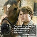 Bernard Alvarez - @alvarez_bernard - Instagram