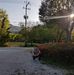 Bernard Alvarez - Facebook