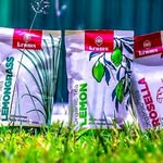 Bernard Amponsah - @amponsah6506 - Instagram