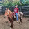 bernard andrade - @bernardandrade - TikTok