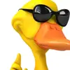 bernardoandreoli1 - @bernardoandreoli1 - TikTok