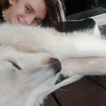 Bernard Andrzejewski - @bernard_andrzejewski - Instagram