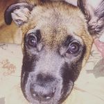 Arnold Bernard - @arnold.bernard - Instagram