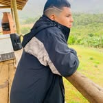 Bernard_au - @bernard_adl - Instagram