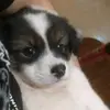 yeahitsme970 - @bernard.au - TikTok