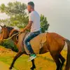 bernardaugustin57 - @bernardaugustin57 - TikTok