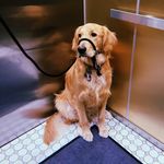 bernard eugene & basil augustine - @bernandbasil - Instagram