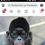 Ir Bernard LE Savant - @irbernardlesavant - Instagram