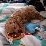 Bernard - @bernardbailey_ - Instagram