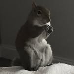 Bernard Baker - @oneearbear - Instagram