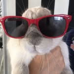 Yoshi Ball Bernard Primero - @yoshi_ball_bernard - Instagram