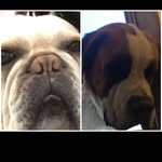 {___.BB.___} - @_barney_bernard_ - Instagram