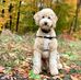 Barney Bernard  - Facebook