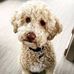 Barney Bernard - Facebook