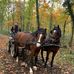Bernard Beyer - Facebook