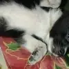 Bernard Brillo - @bernard.brillo - TikTok