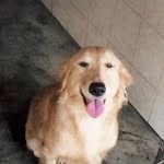 Bernard Chee - @bernard.chee.90 - Instagram