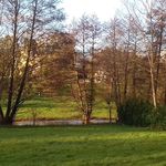 Bernard Clément - @bernardclement984 - Instagram