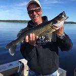 Bernard Clement - @canardclement - Instagram