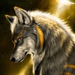 Bernard Cope - @werewolf043 - Instagram