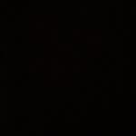 Bernard - @bernard_coy - Instagram