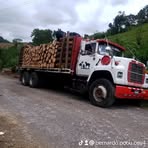 Bernardo Poou Coy - Facebook