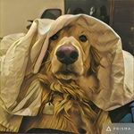 Bernard Crabtree - @the.real.bernard - Instagram