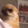 bernard13 - @bernard.groscrane - TikTok