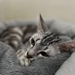 bernard - @bernardcristoval - Instagram