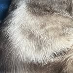 Bernard - @bernard_cristoval - Instagram