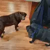 Bernard Crowder - @bernard.crowder0 - TikTok