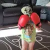 bernardcummins - @bernardcummins - TikTok