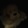 Bernard - @bernardledanseur - TikTok